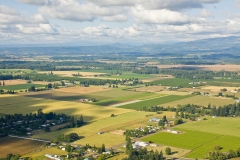 Farmland in Willamette Valley