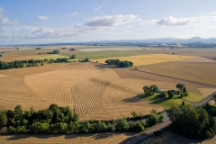 Willamette Valley Farms Fields Furrows