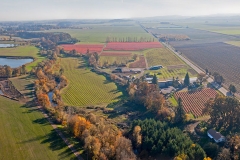 Willamette Valley Image Farms