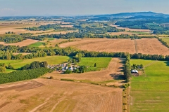 Willamette Valley Images Tyee Vineyard