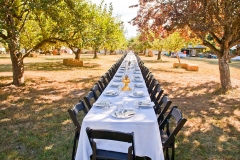 Farm Dinner Image MR