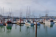 Yaquina Bay Crab Fleet Stock Image