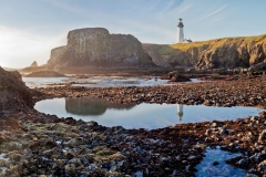 Yaquina Point Tide Pools